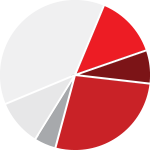 pie chart graphic